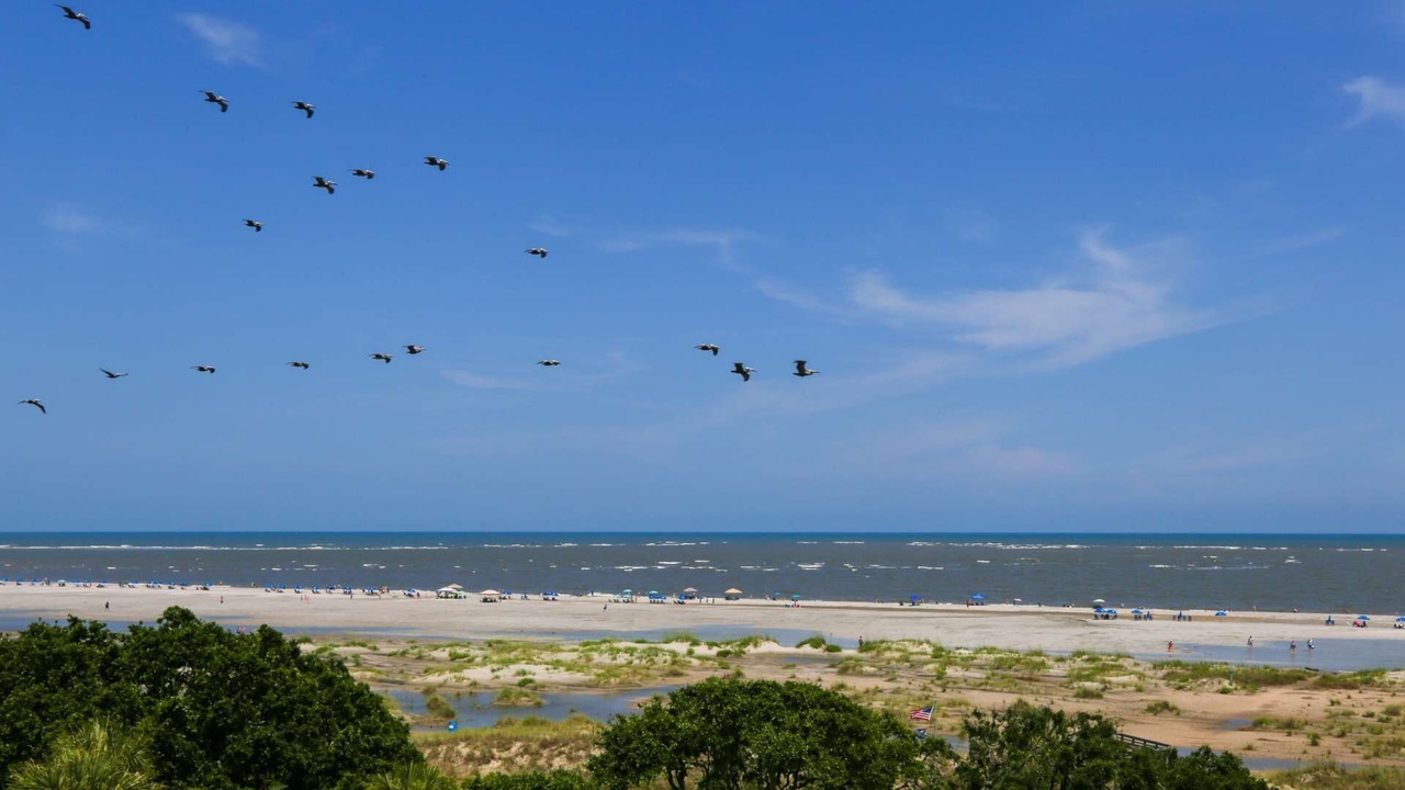Photo of Others in Isle of Palms