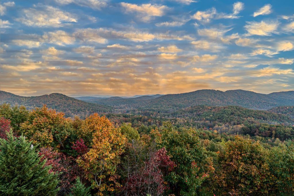Photo of Others in Blue Ridge