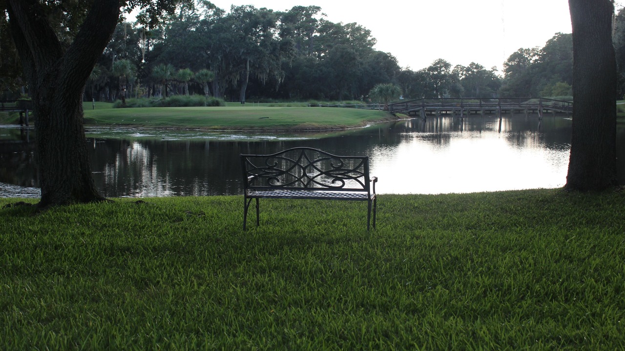 Photo of Others in Sea Pines