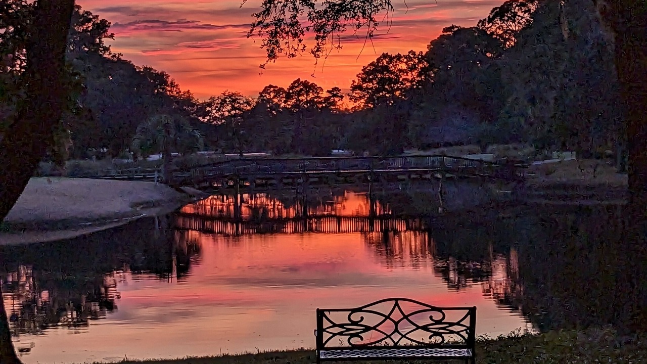 Photo of Others in Sea Pines