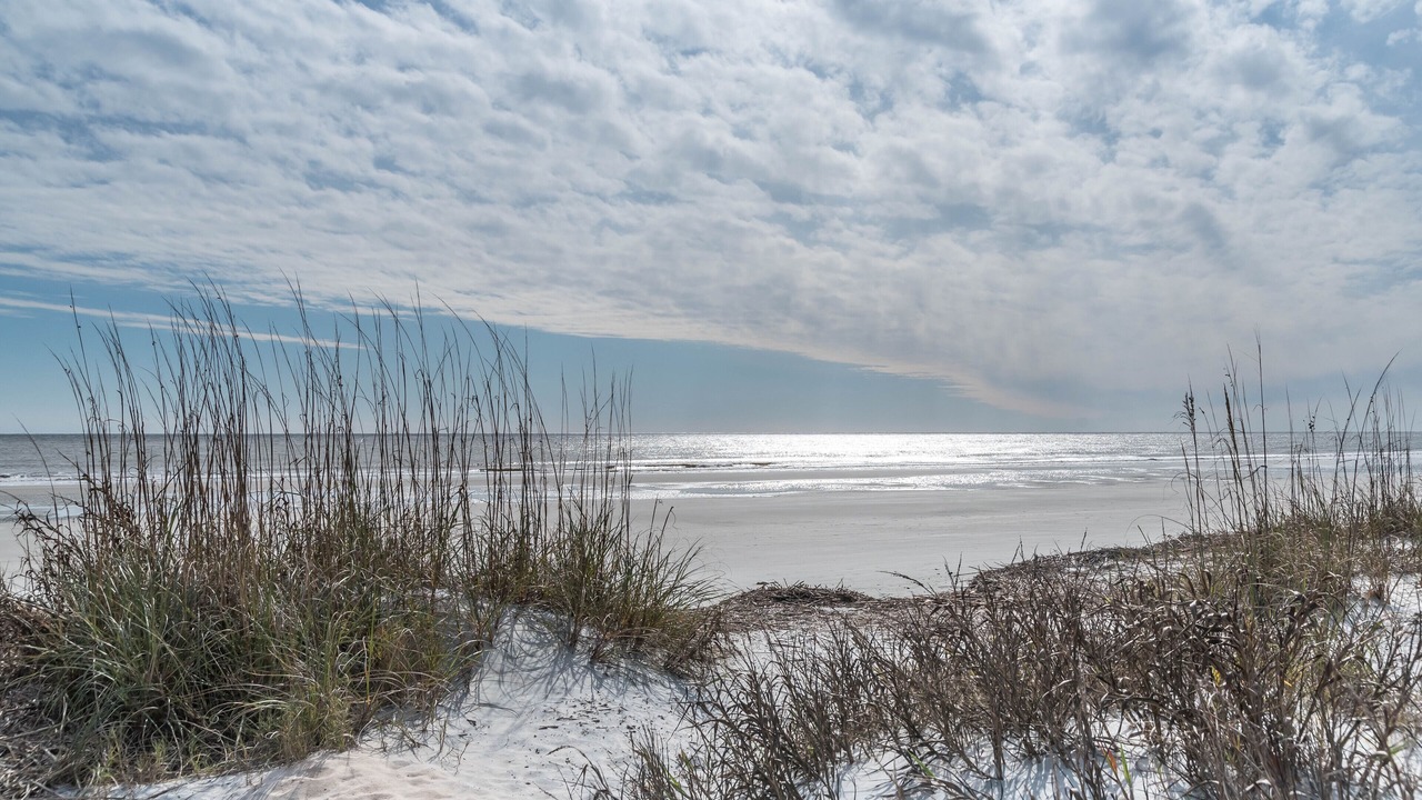 Photo of Others in Saint Helena Island
