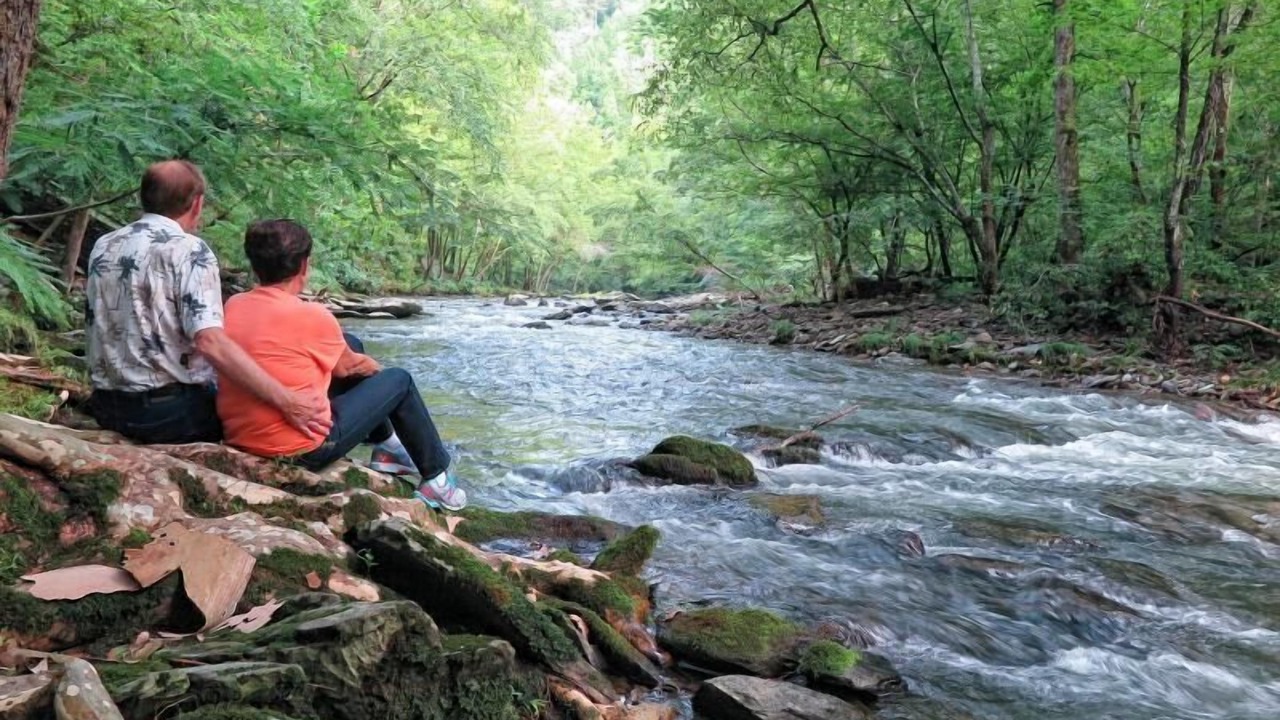 Photo of Outdoor in Sevierville