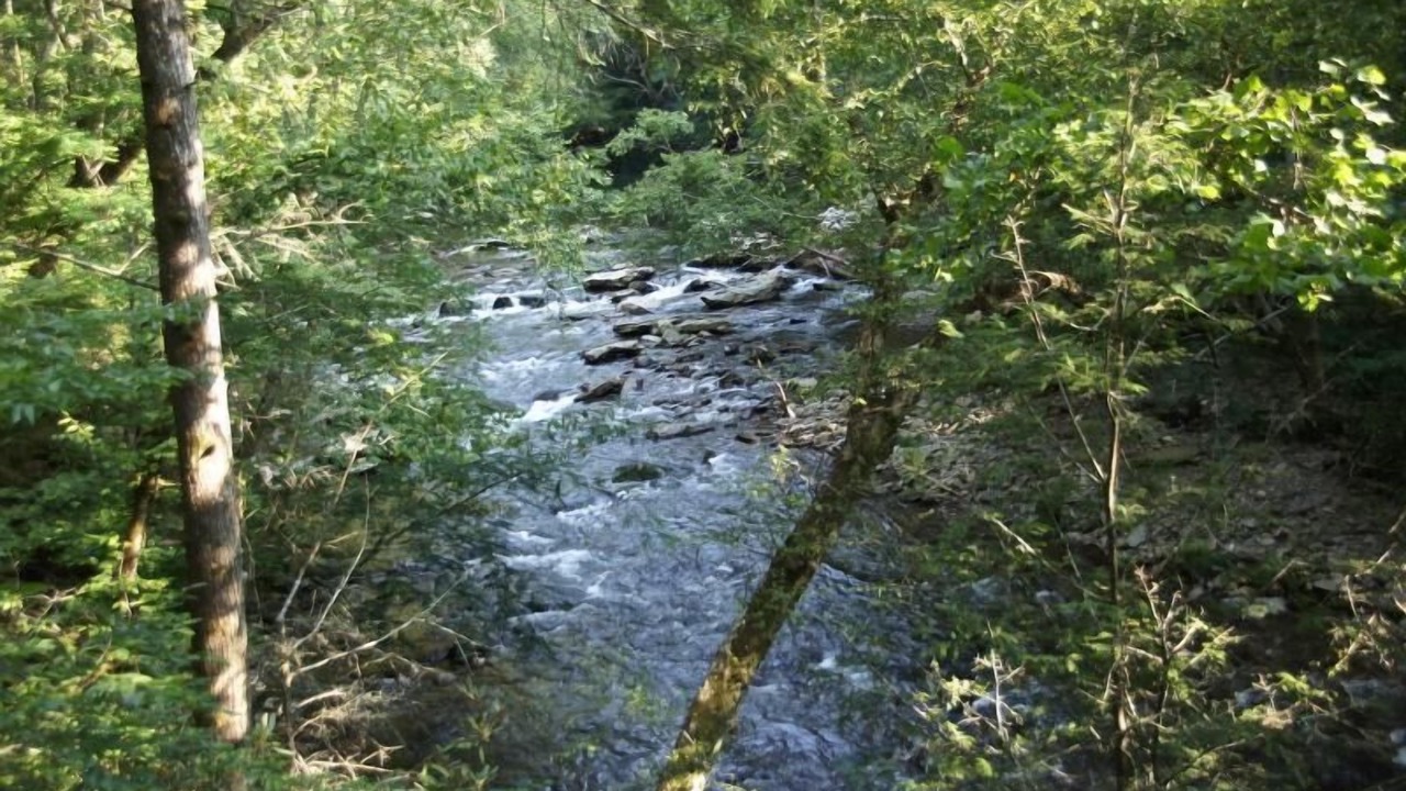 Photo of Outdoor in Sevierville