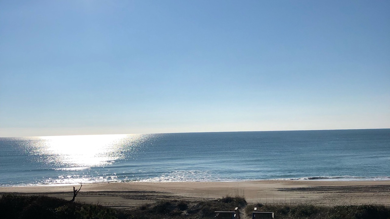 Photo of Others in Emerald Isle