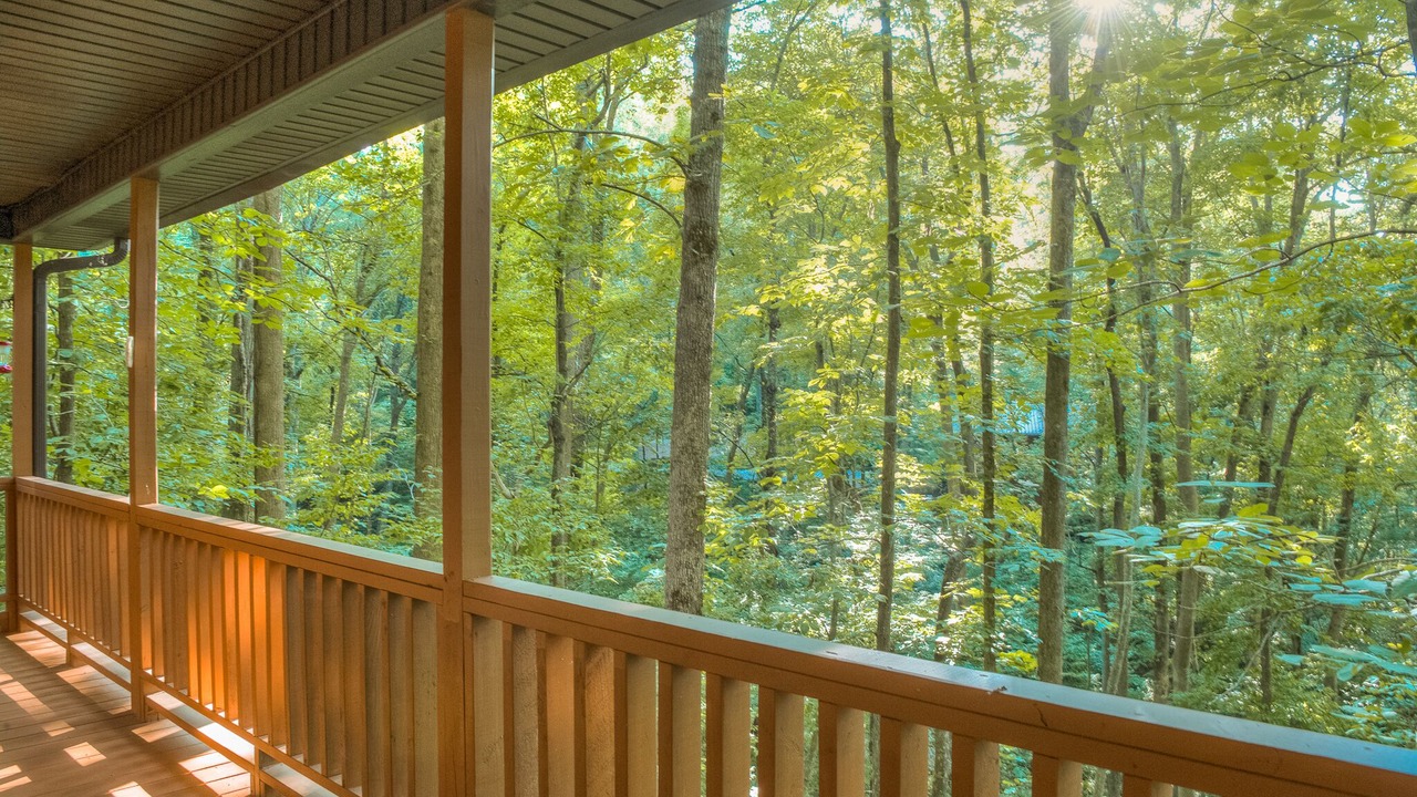 Photo of Outdoor in Blairsville