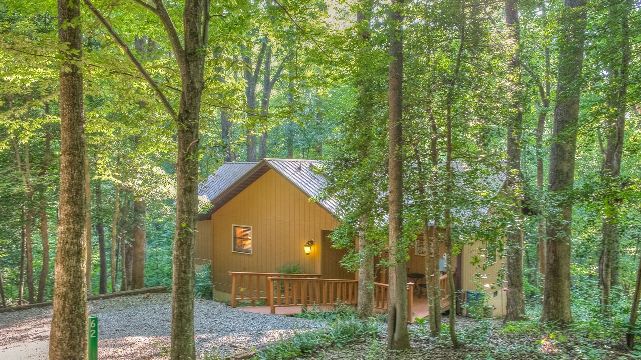 Photo of Outdoor in Blairsville