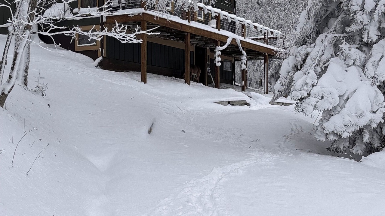 Photo of Outdoor in Edray