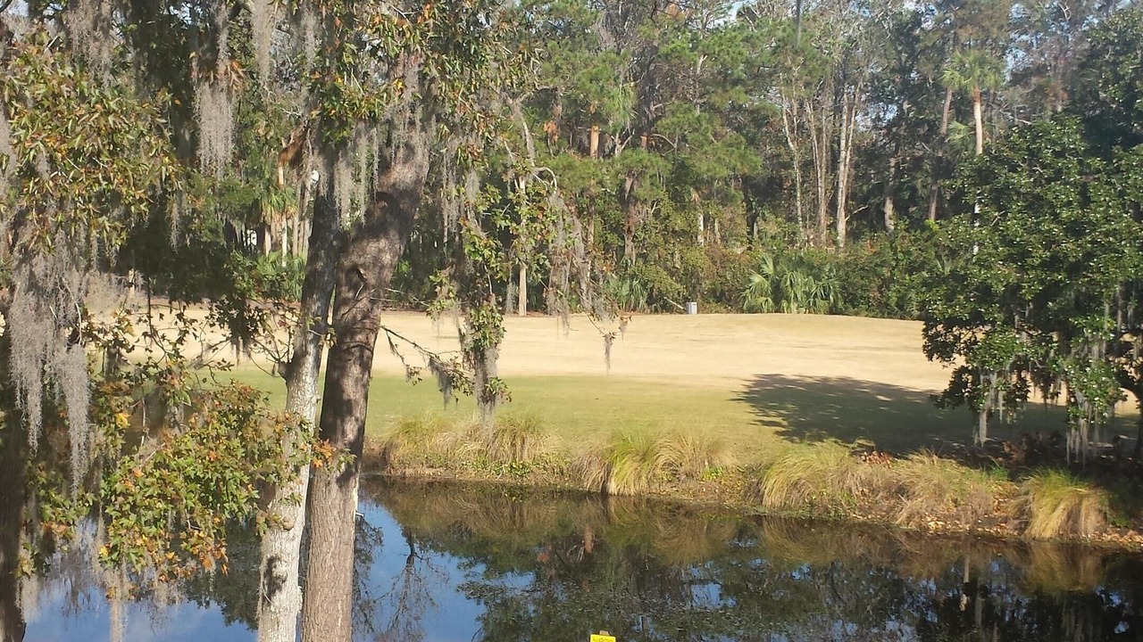Photo of Others in Shipyard Plantation