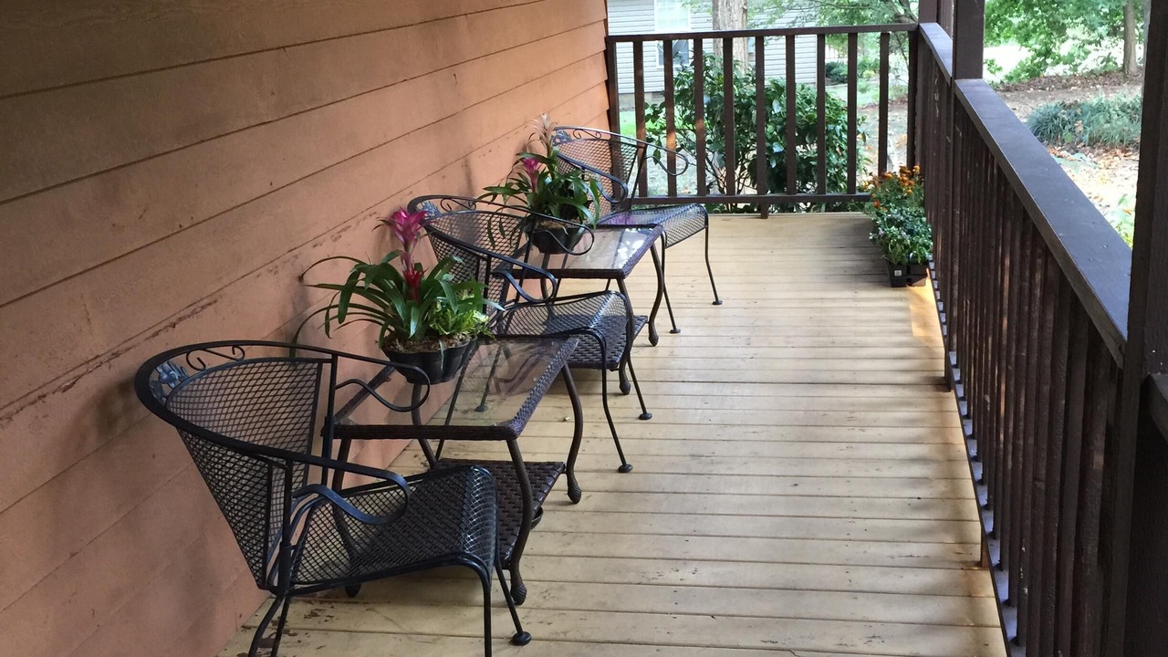 Photo of Outdoor in Albertville
