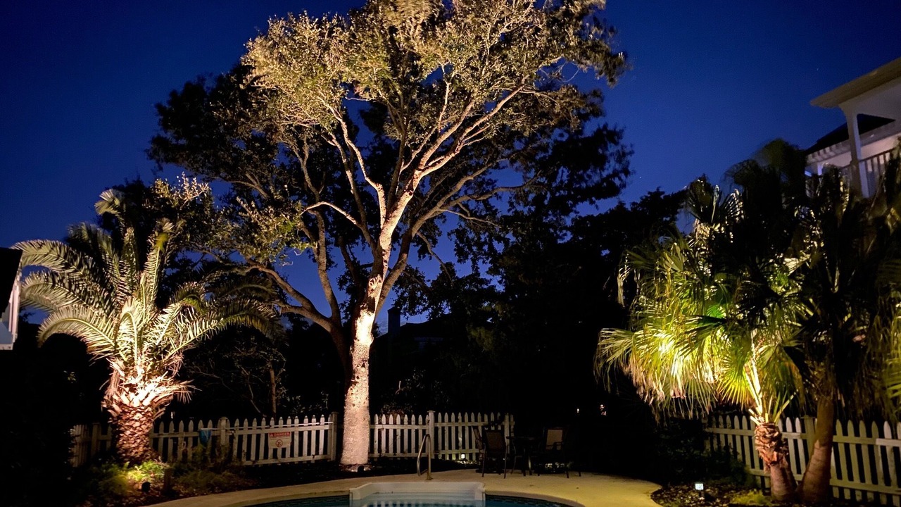 Photo of Outdoor in Isle of Palms