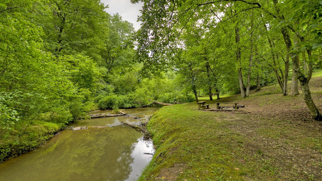 Photo of Others in Blue Ridge