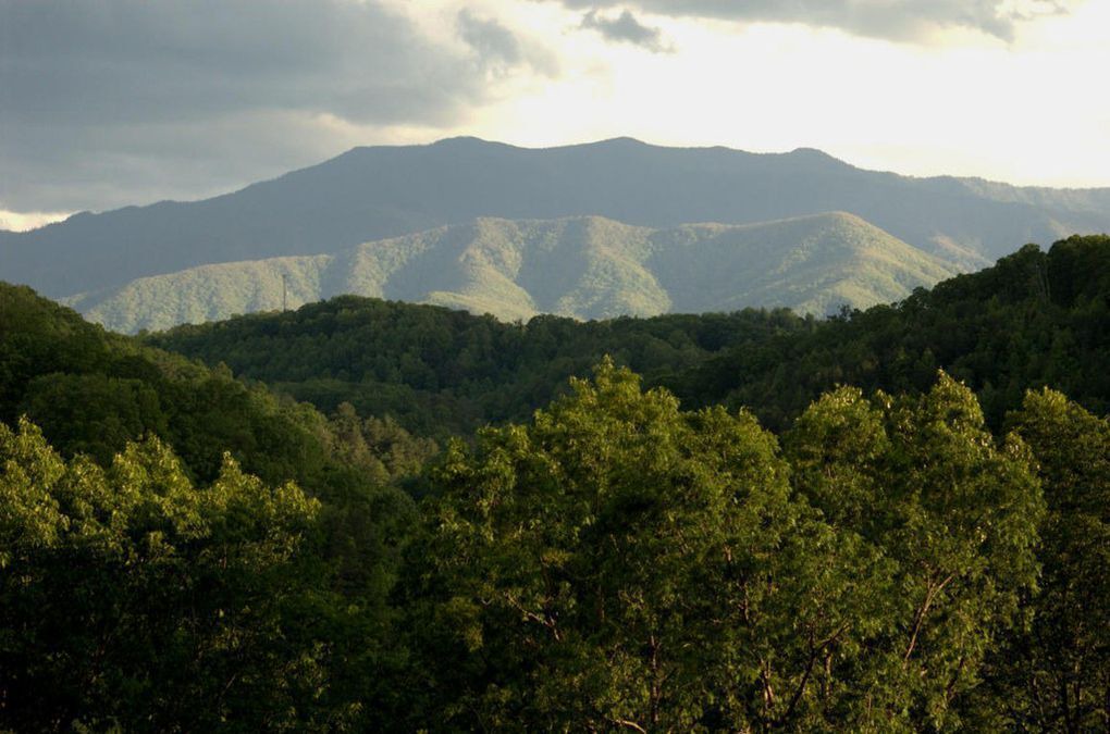 Photo of Others in Sevierville