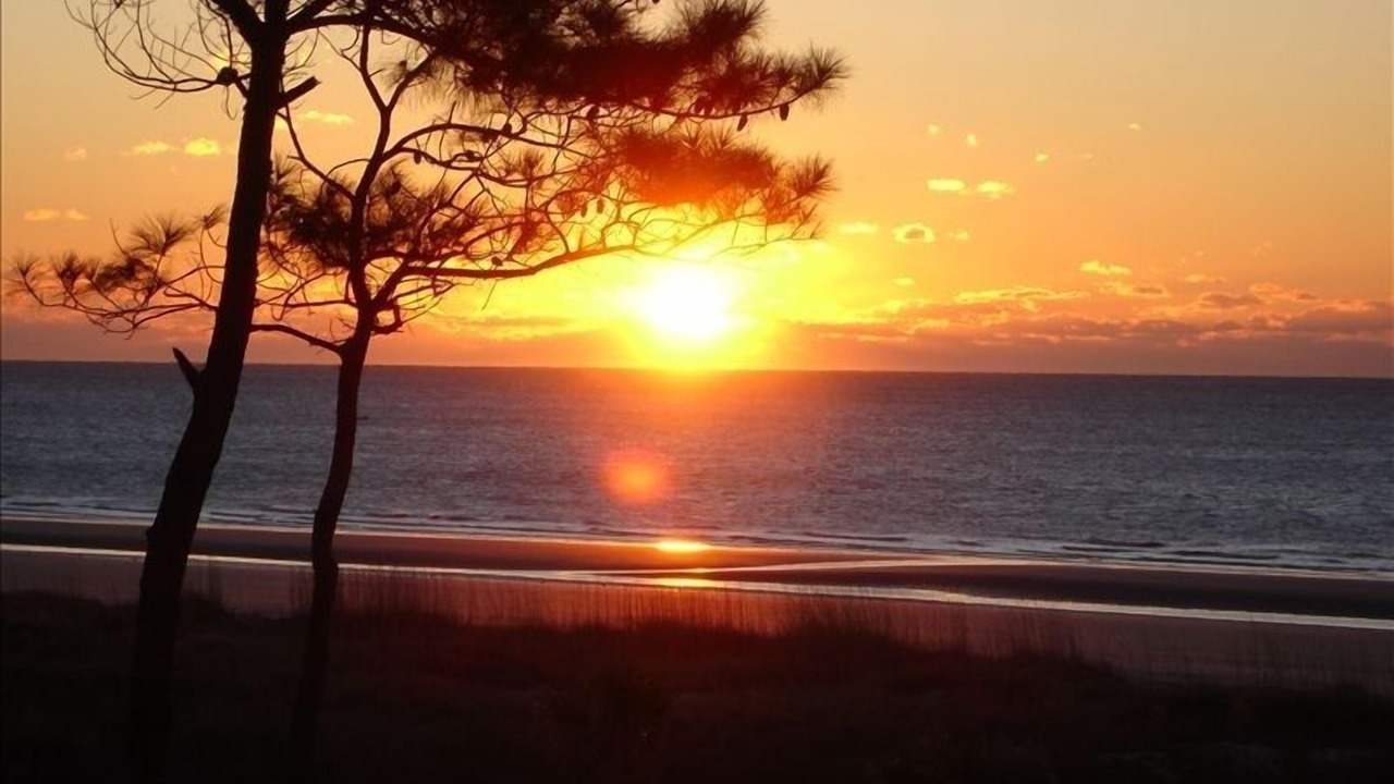 Photo of Others in Hilton Head Island