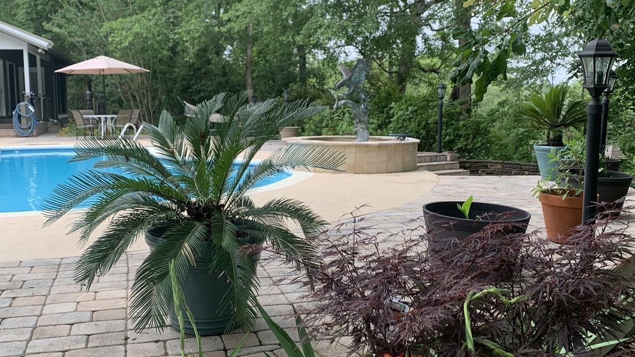 Photo of Outdoor in Conway
