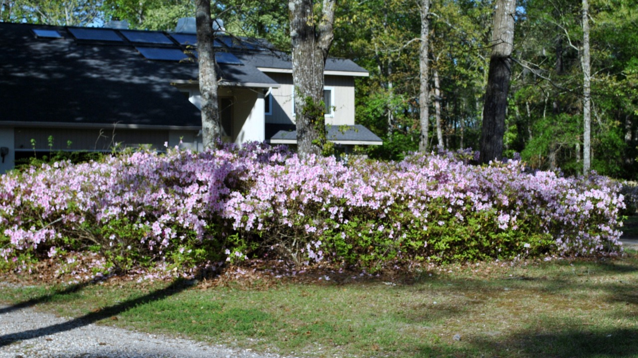 Photo of Others in Conway