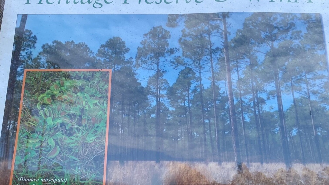 Photo of Others in Conway