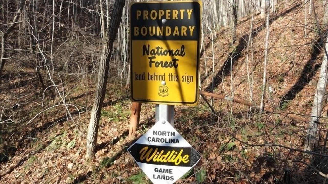 Photo of Outdoor in Franklin