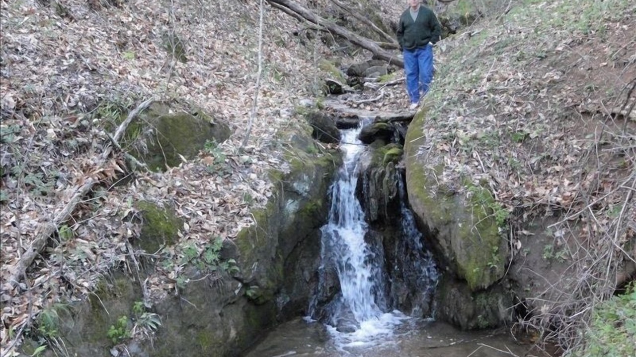 Photo of Others in Franklin