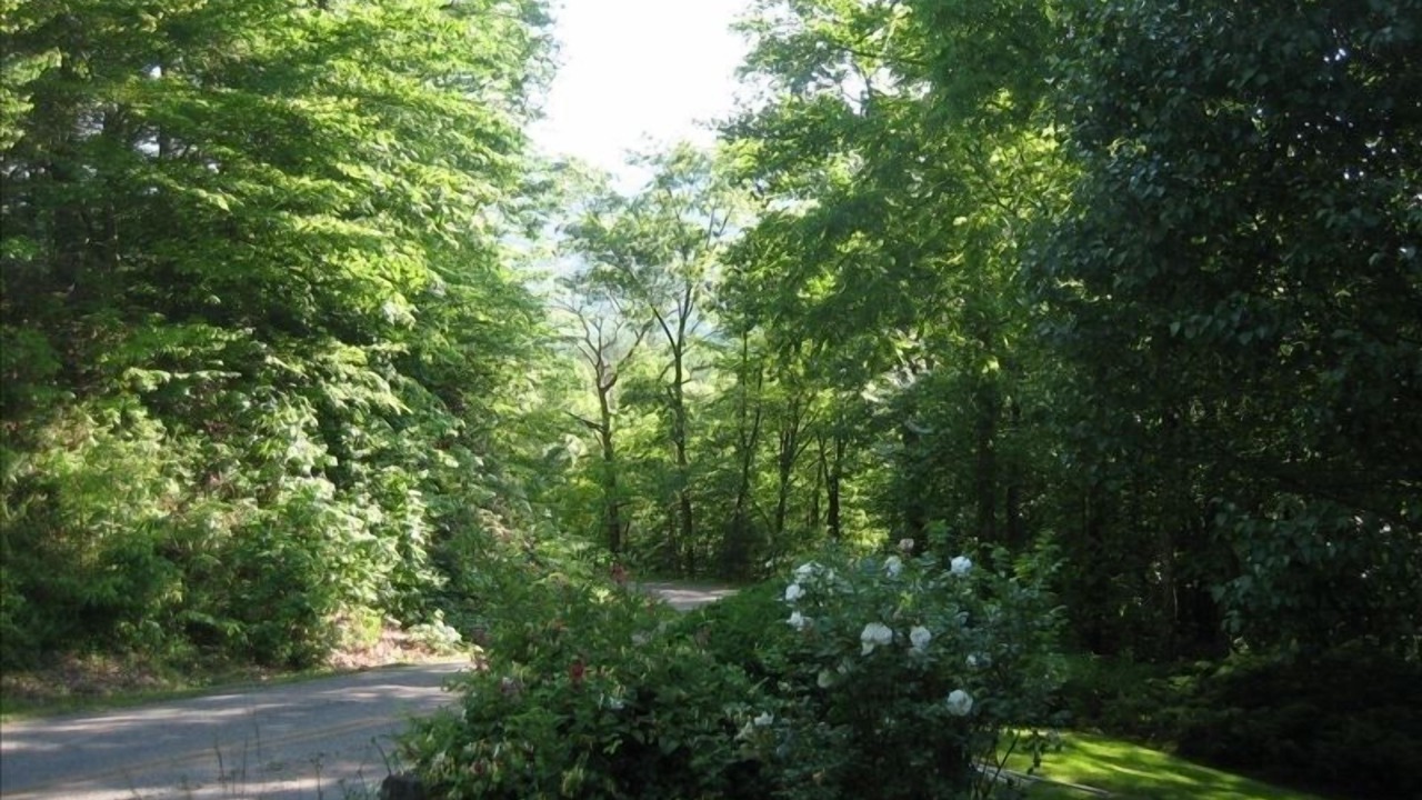 Photo of Outdoor in Franklin