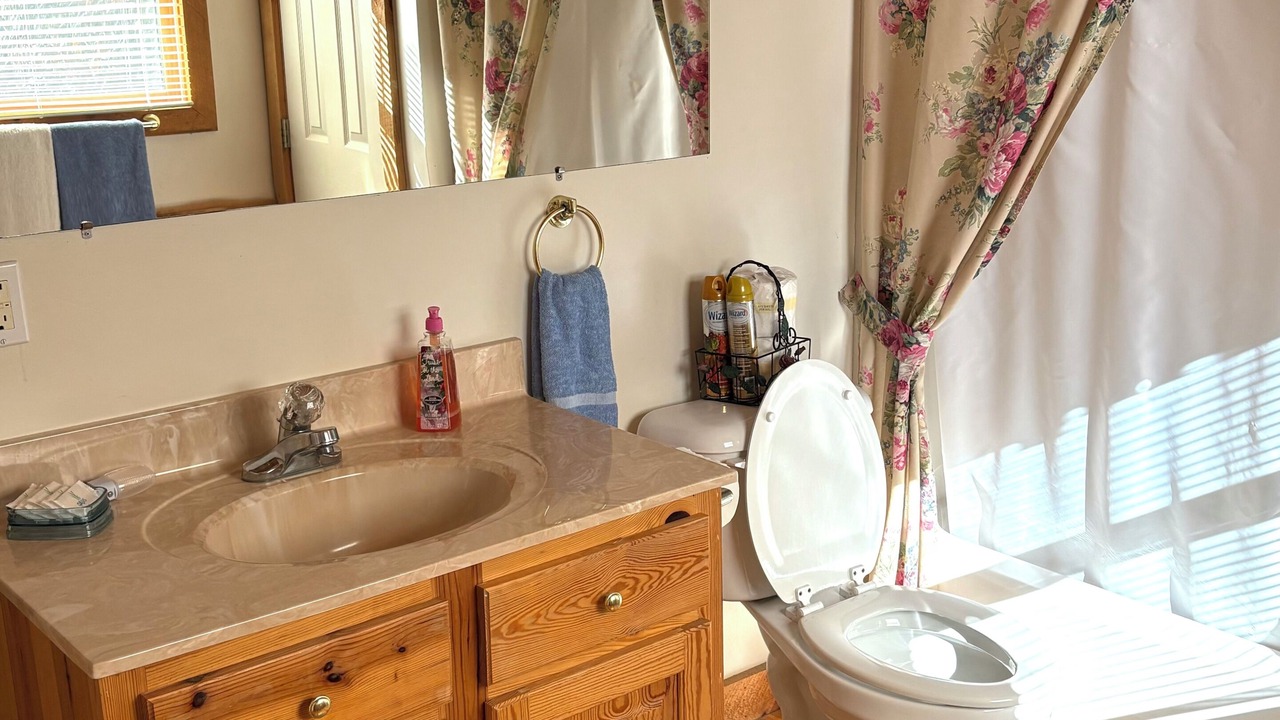Photo of Bathroom in Candler