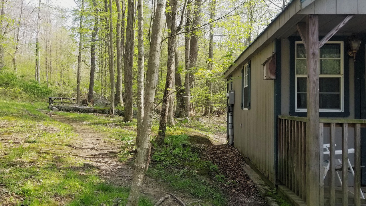 Photo of Others in Elk Garden