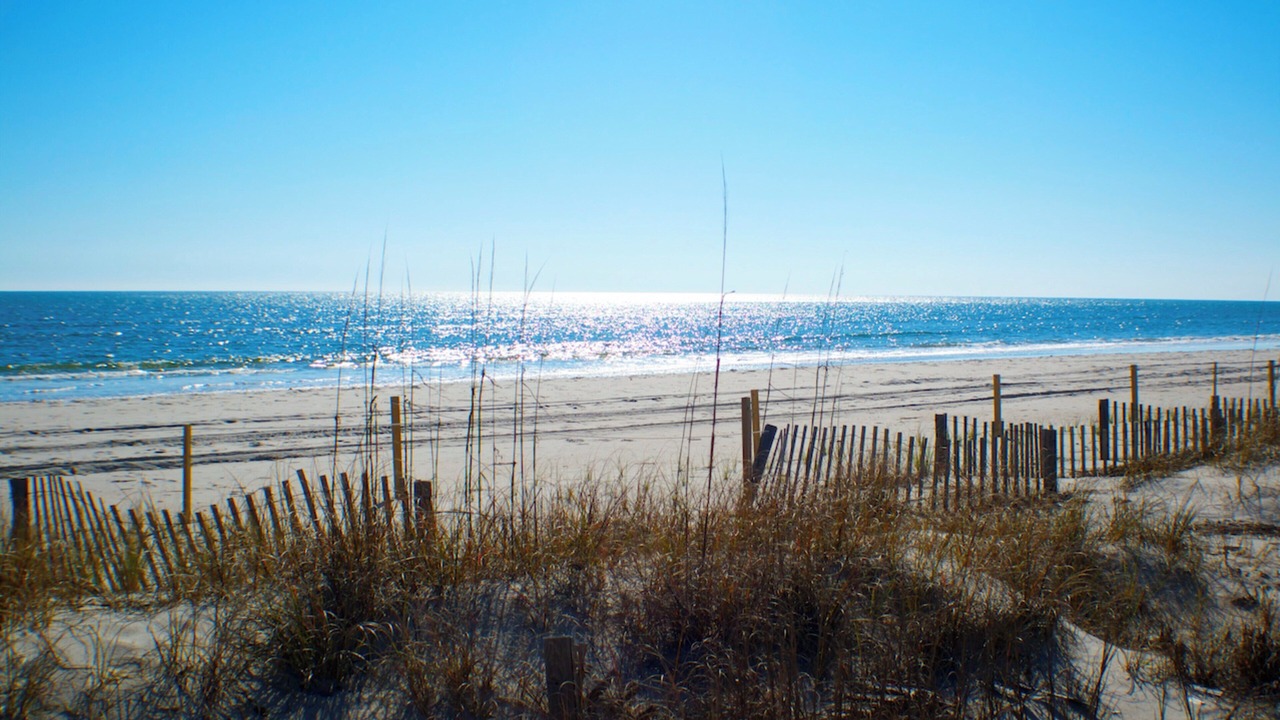 Photo of Others in Holden Beach