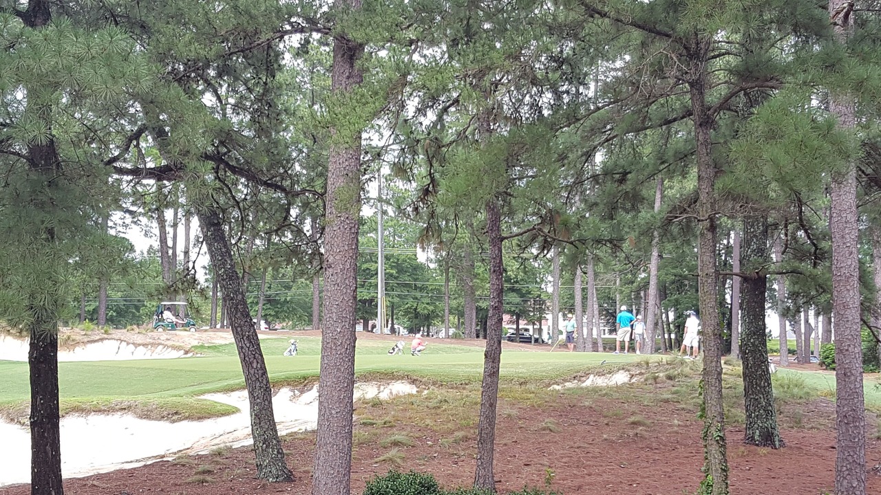 Photo of Others in Pinehurst