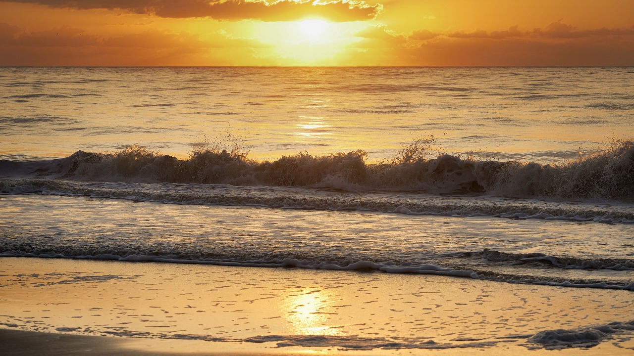 Photo of Others in Sea Pines