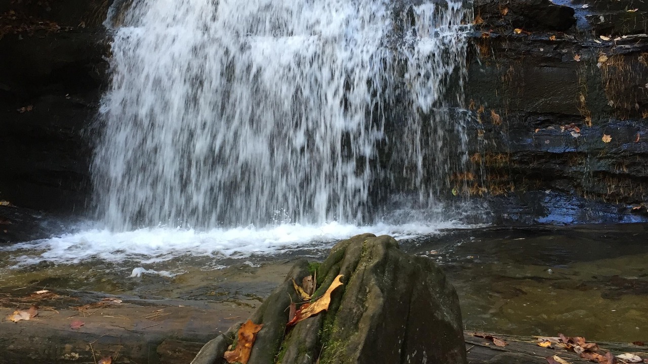 Photo of Others in Ellijay