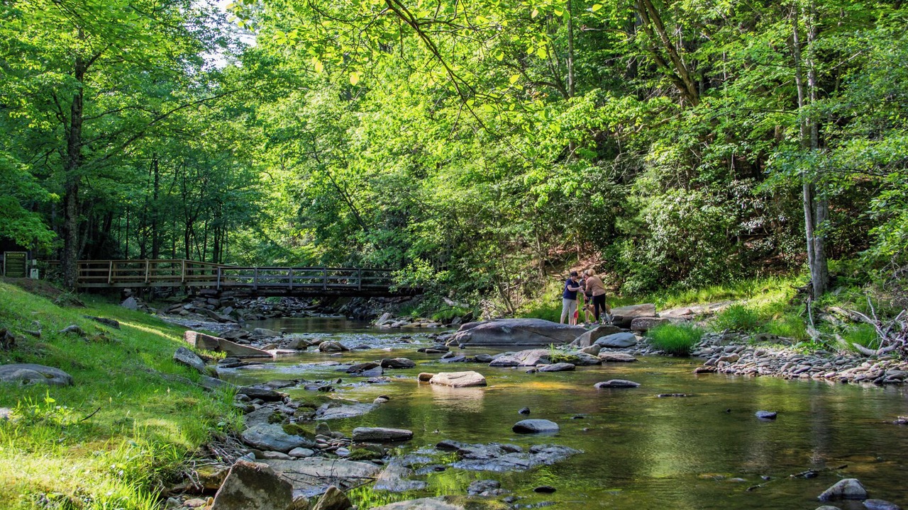 Photo of Others in Deep Gap