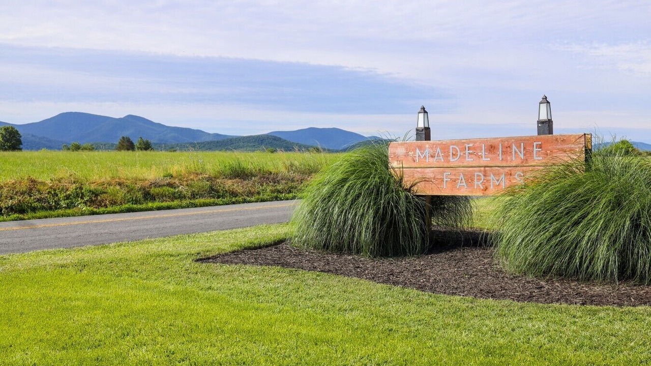 Photo of Others in Luray