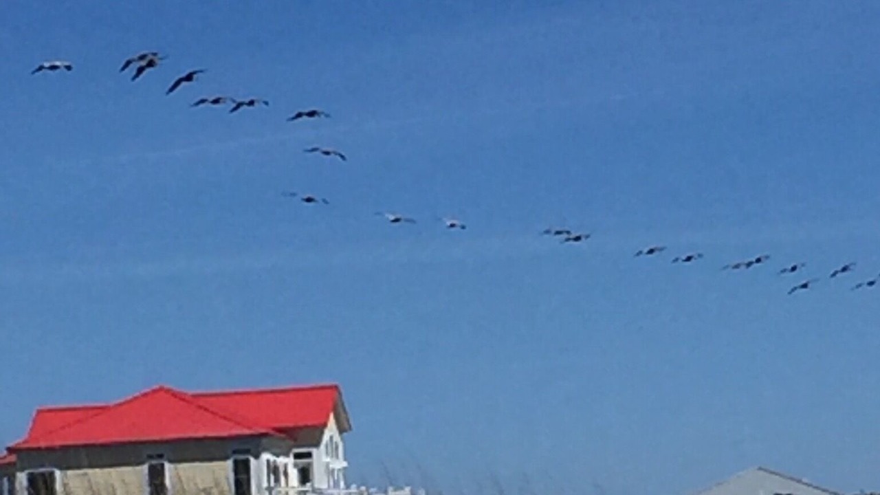 Photo of Outdoor in St. James