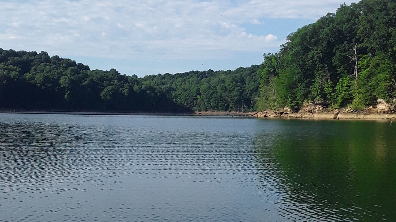 Photo of Outdoor in Taswell