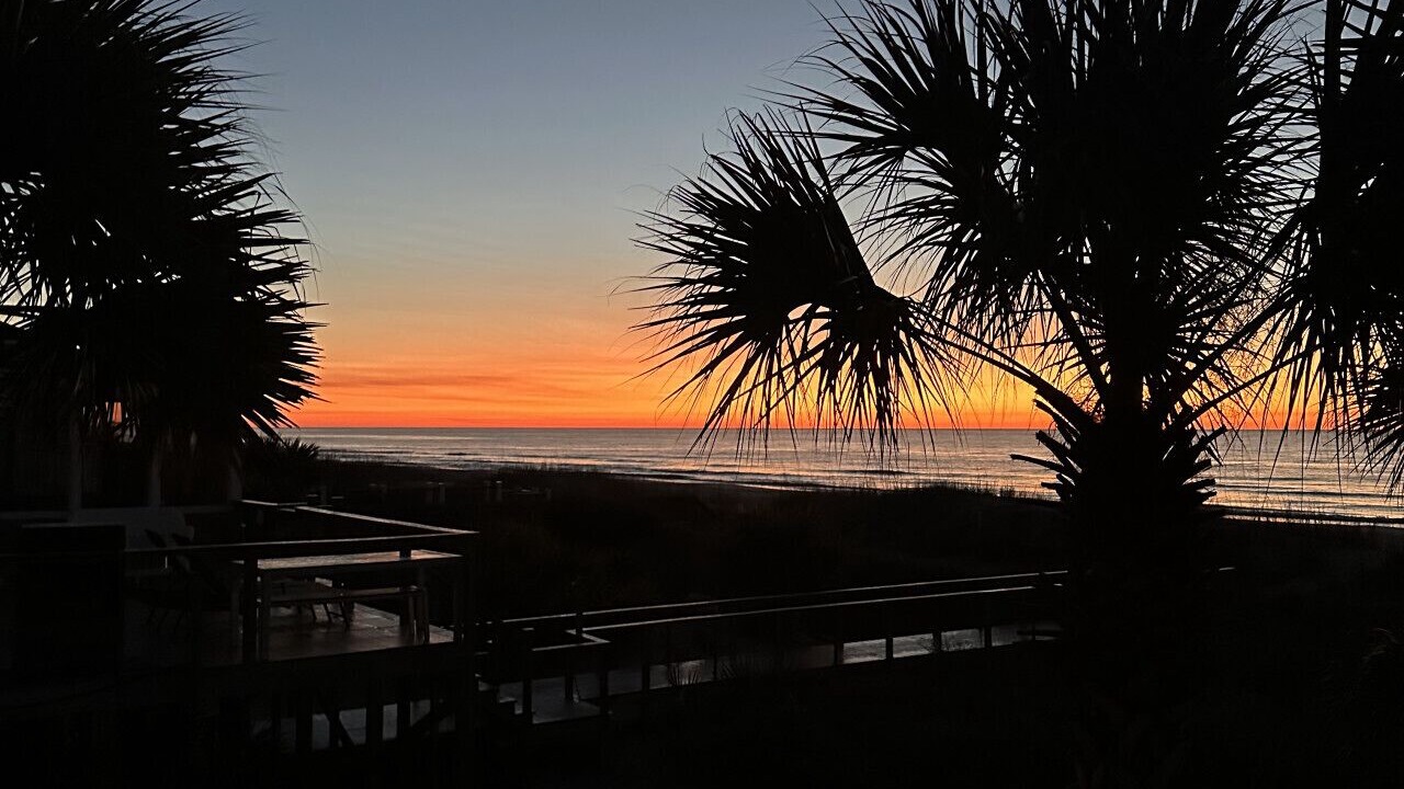 Photo of Others in Folly Beach