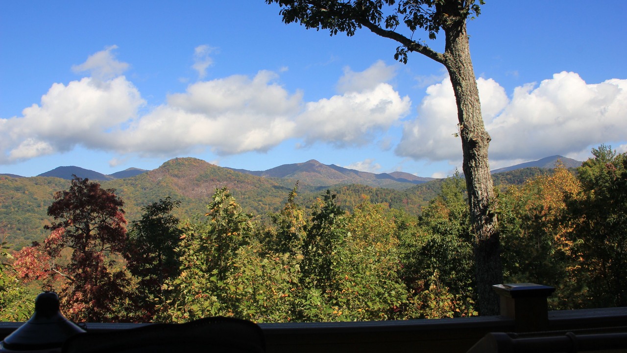 Photo of Others in Swannanoa