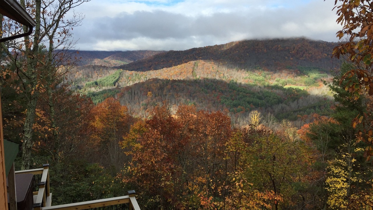 Photo of Others in Swannanoa