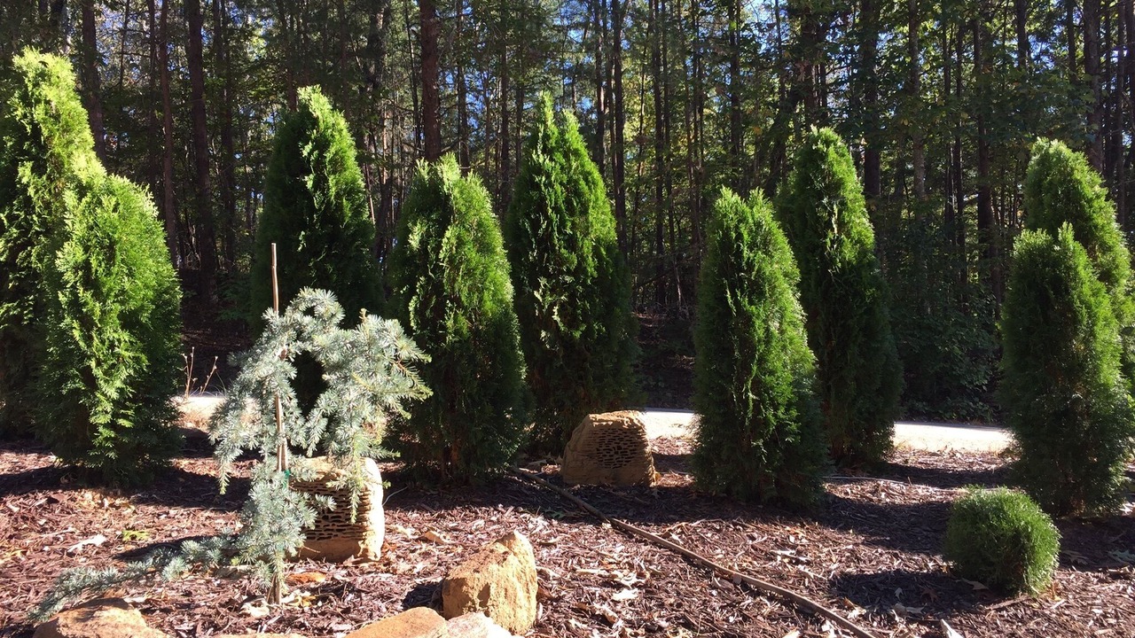 Photo of Others in Dawsonville