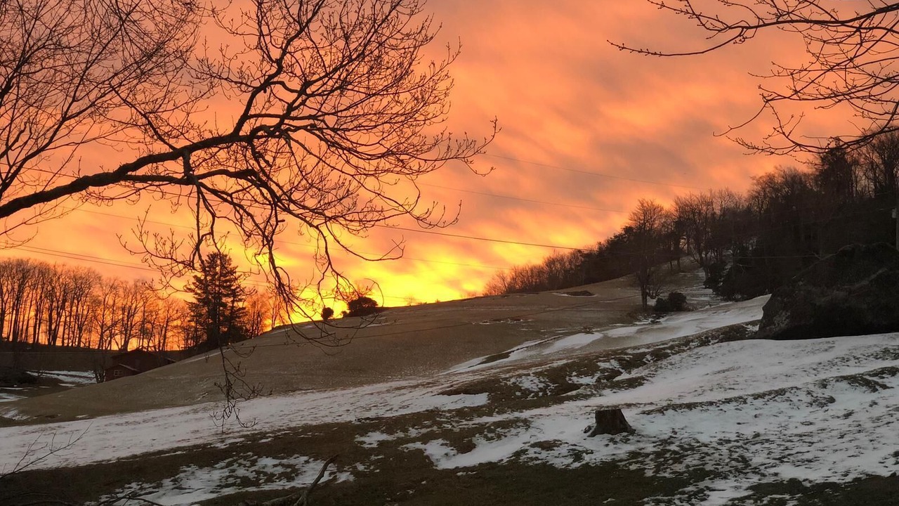 Photo of Outdoor in Panorama Estates