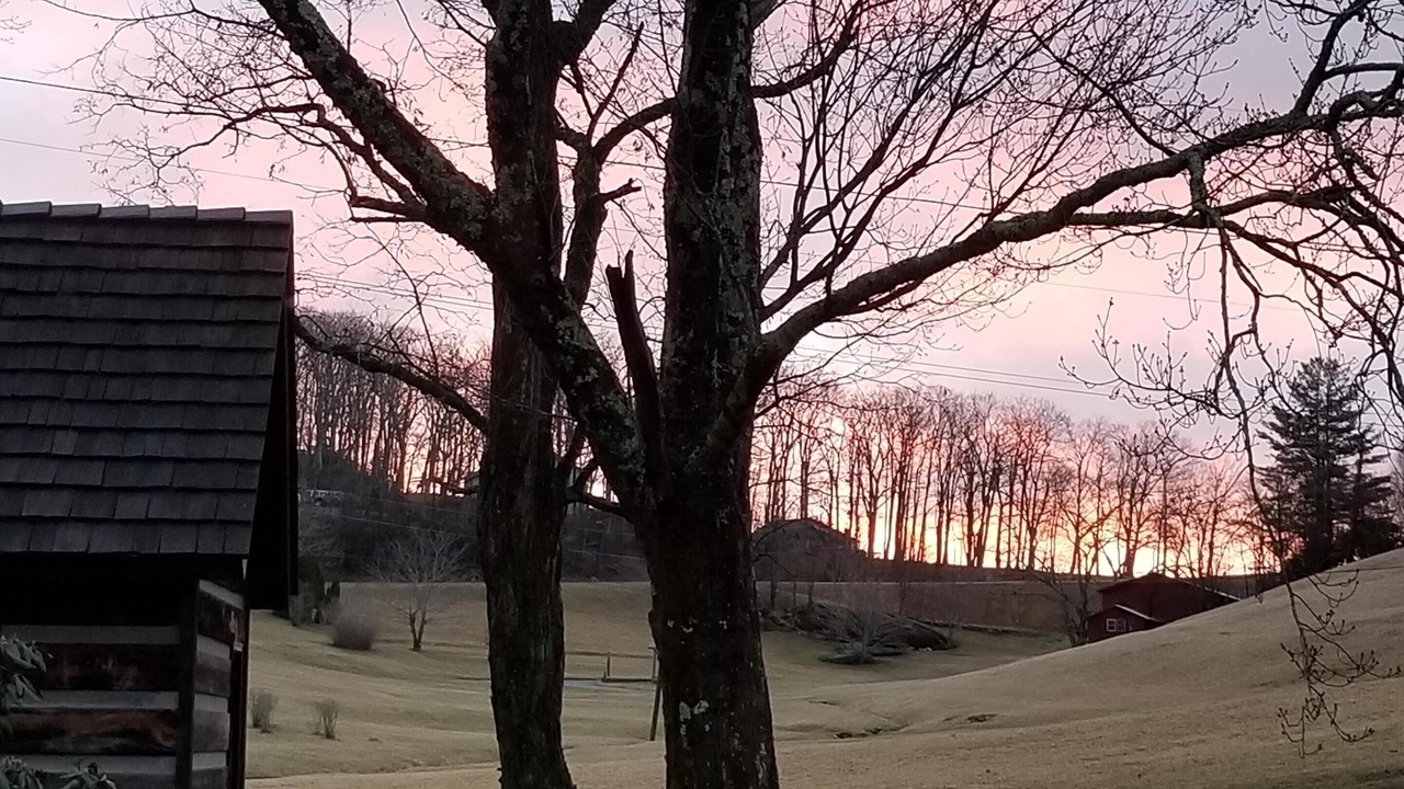 Photo of Outdoor in Panorama Estates