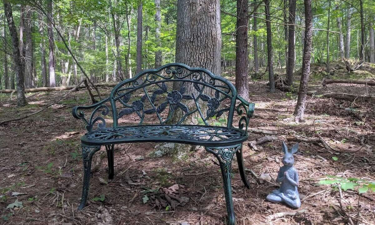 Photo of Others in Berkeley Springs