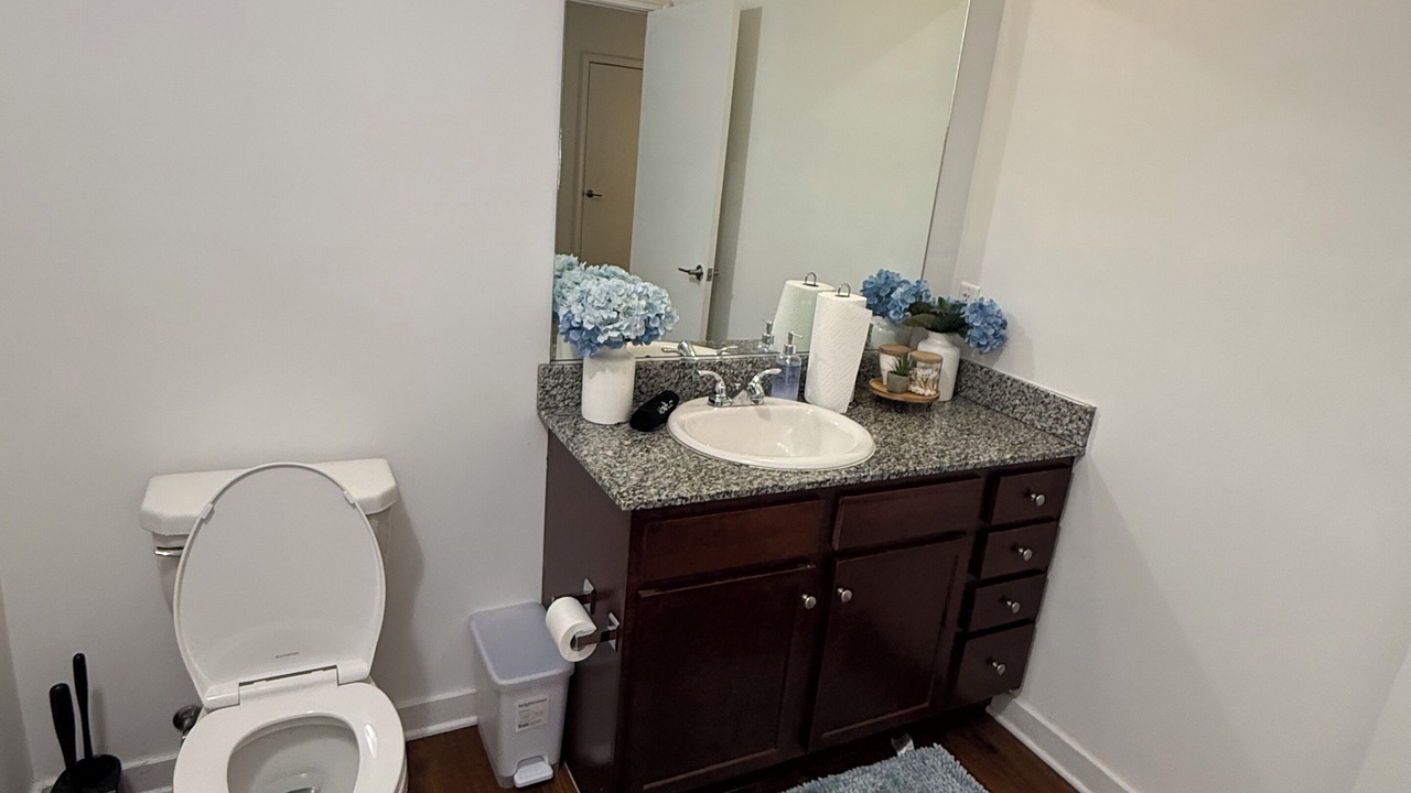 Photo of Bathroom in Downtown Memphis