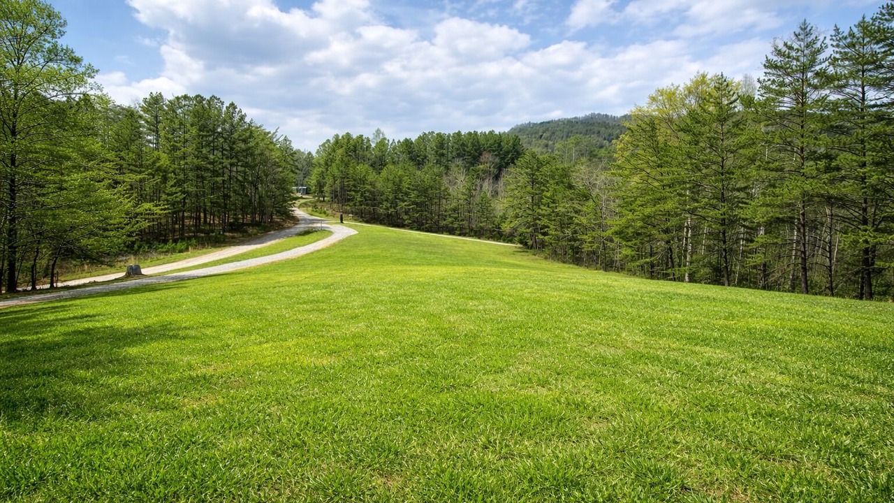 Photo of Others in Stonecrest
