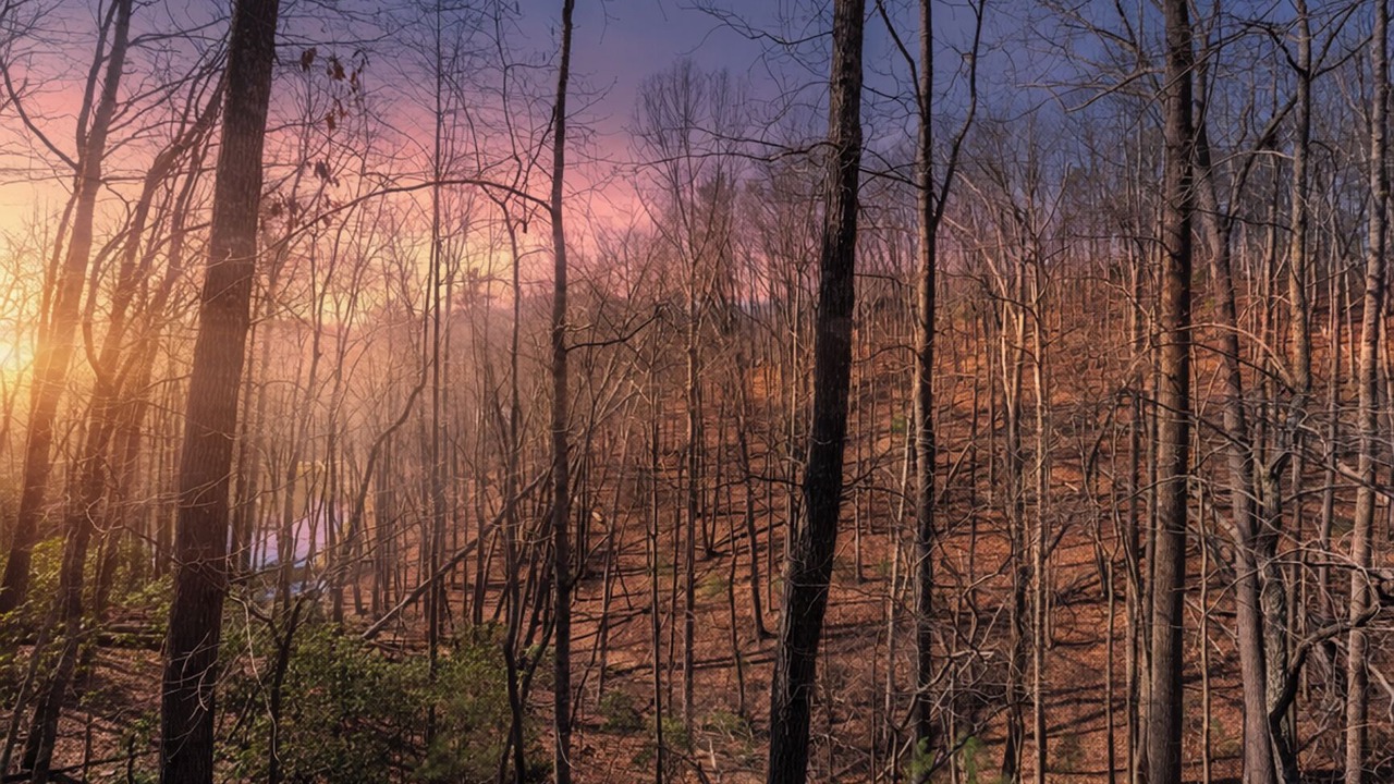 Photo of Others in Deep Gap