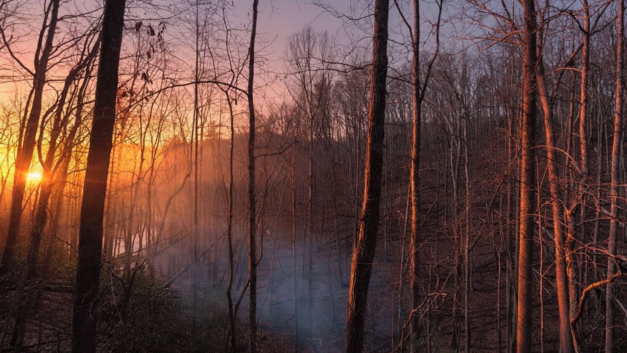 Photo of Others in Deep Gap