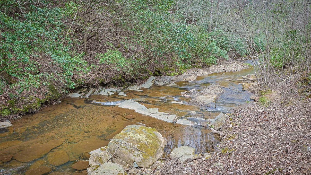 Photo of Others in Ellijay