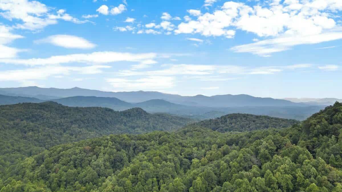 Photo of Others in Black Mountain
