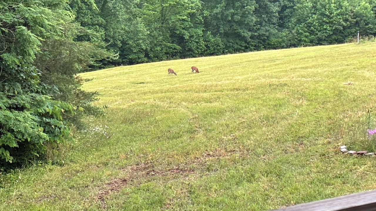 Photo of Outdoor in Tazewell