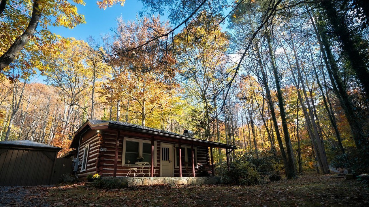 Photo of Outdoor in Weaverville