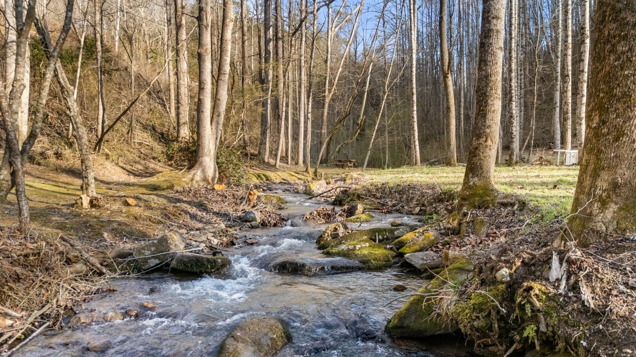 Photo of Others in Bryson City