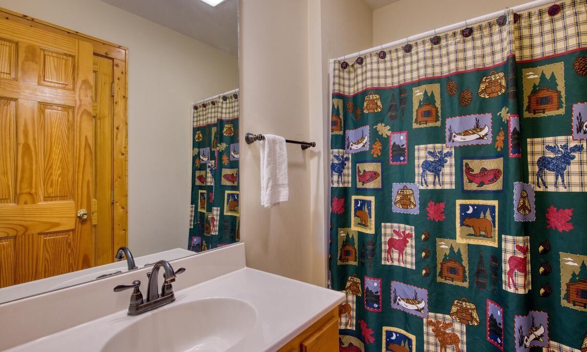 Photo of Bathroom in Maggie Valley